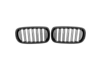 Radiator grille insert HD Tuning