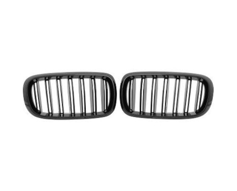 Radiator grille insert HD Tuning