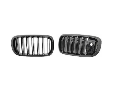 Radiator grille insert HD Tuning
