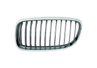 Radiator Grille Priority Parts