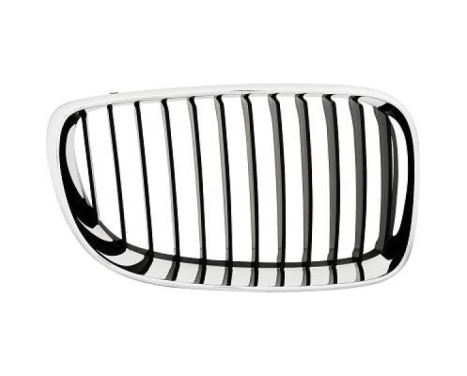 Radiator Grille Priority Parts