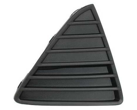 Radiator grille Priority Parts