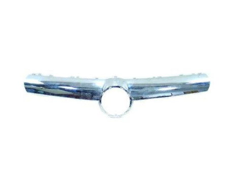 Radiator grille Priority Parts