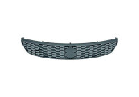Radiator Grille Priority Parts