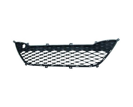 Radiator grille Priority Parts