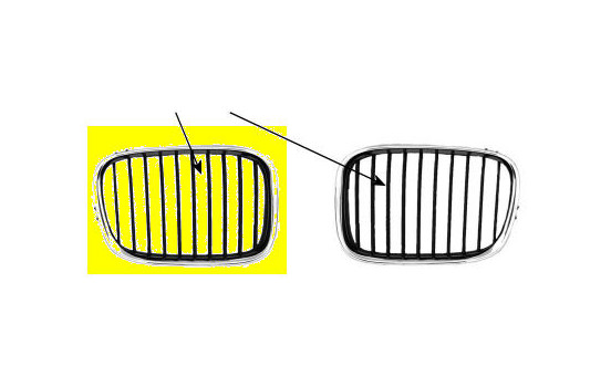 Radiator Grille