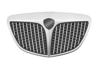 Radiator Grille