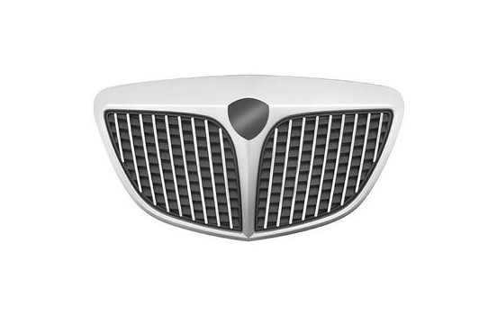 Radiator Grille