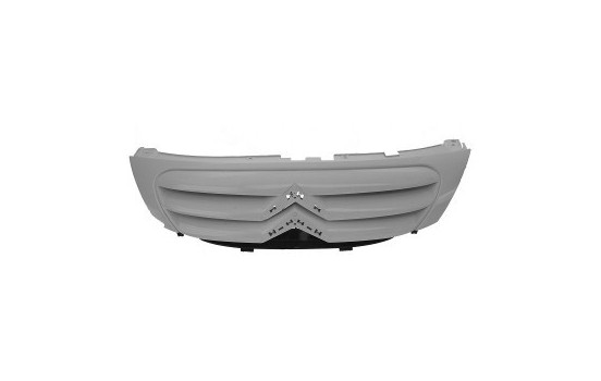 Radiator Grille