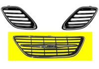 Radiator Grille