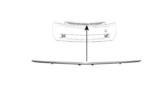 Radiator Grille