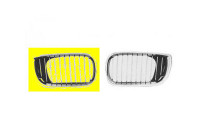 Radiator Grille
