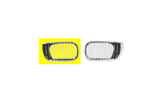 Radiator Grille