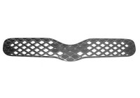 Radiator Grille