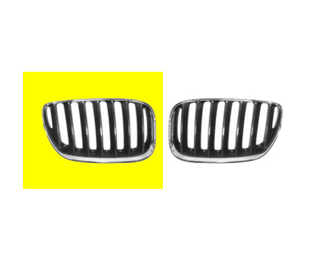 Radiator Grille