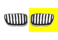 Radiator Grille