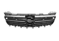 Radiator Grille