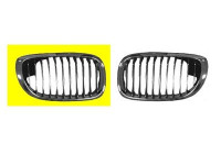 Radiator Grille