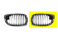 Radiator Grille