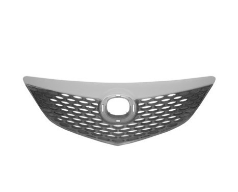 Radiator Grille