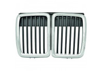 Radiator Grille