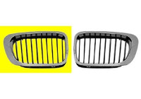 Radiator Grille