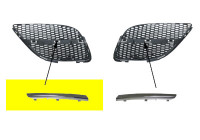 Radiator Grille
