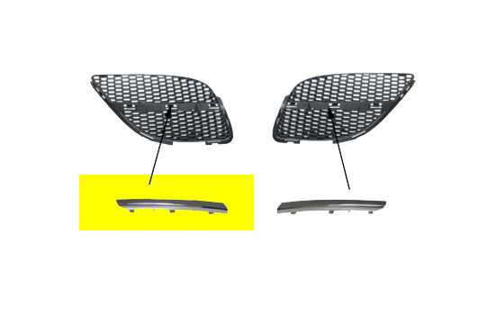 Radiator Grille