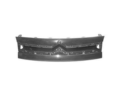 Radiator Grille