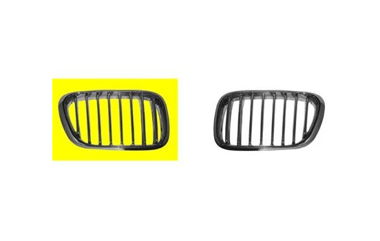 Radiator Grille