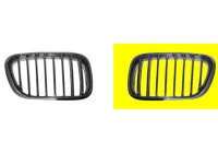 Radiator Grille