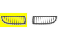 Radiator Grille
