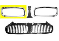 Radiator Grille