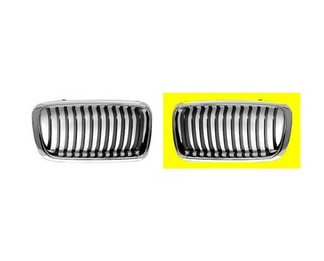 Radiator Grille
