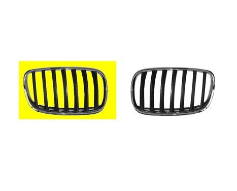 Radiator Grille