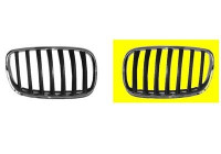 Radiator Grille