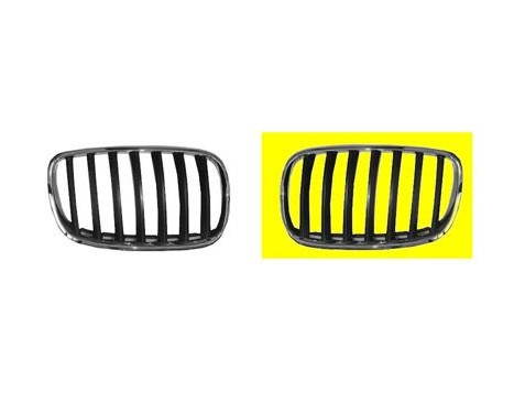 Radiator Grille