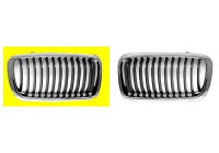 Radiator Grille