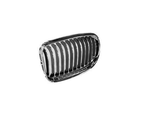 Radiator Grille
