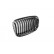 Radiator Grille