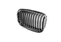 Radiator Grille