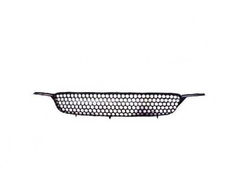 Radiator Grille, Image 2