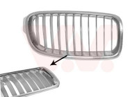 Radiator Grille