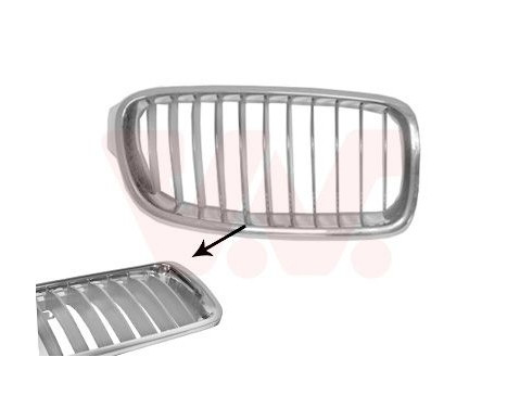 Radiator Grille