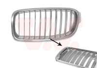 Radiator Grille