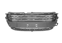 Radiator Grille