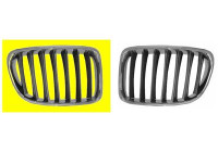 Radiator Grille