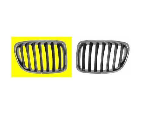 Radiator Grille