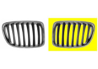 Radiator Grille