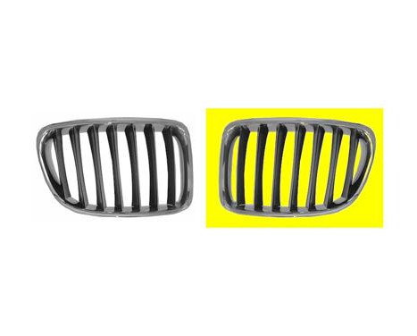Radiator Grille
